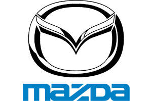 Servicio Automotriz Bustillos Marca 12